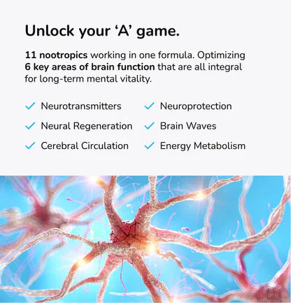 Mind Lab Pro® MLP® v4 Universal Nootropic™ Brain Booster Supplement for Focus, Memory, Clarity, Energy - 60-Count - Plant-Based, Naturally Sourced Memory Vitamins for Better Brain Health, Made in USA