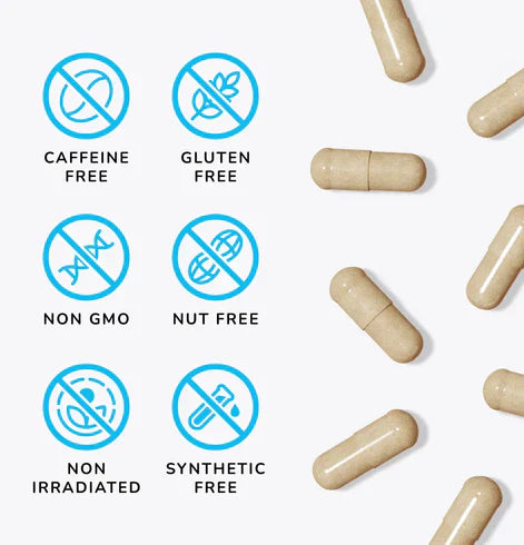 Mind Lab Pro® MLP® v4 Universal Nootropic™ Brain Booster Supplement for Focus, Memory, Clarity, Energy - 60-Count - Plant-Based, Naturally Sourced Memory Vitamins for Better Brain Health, Made in USA